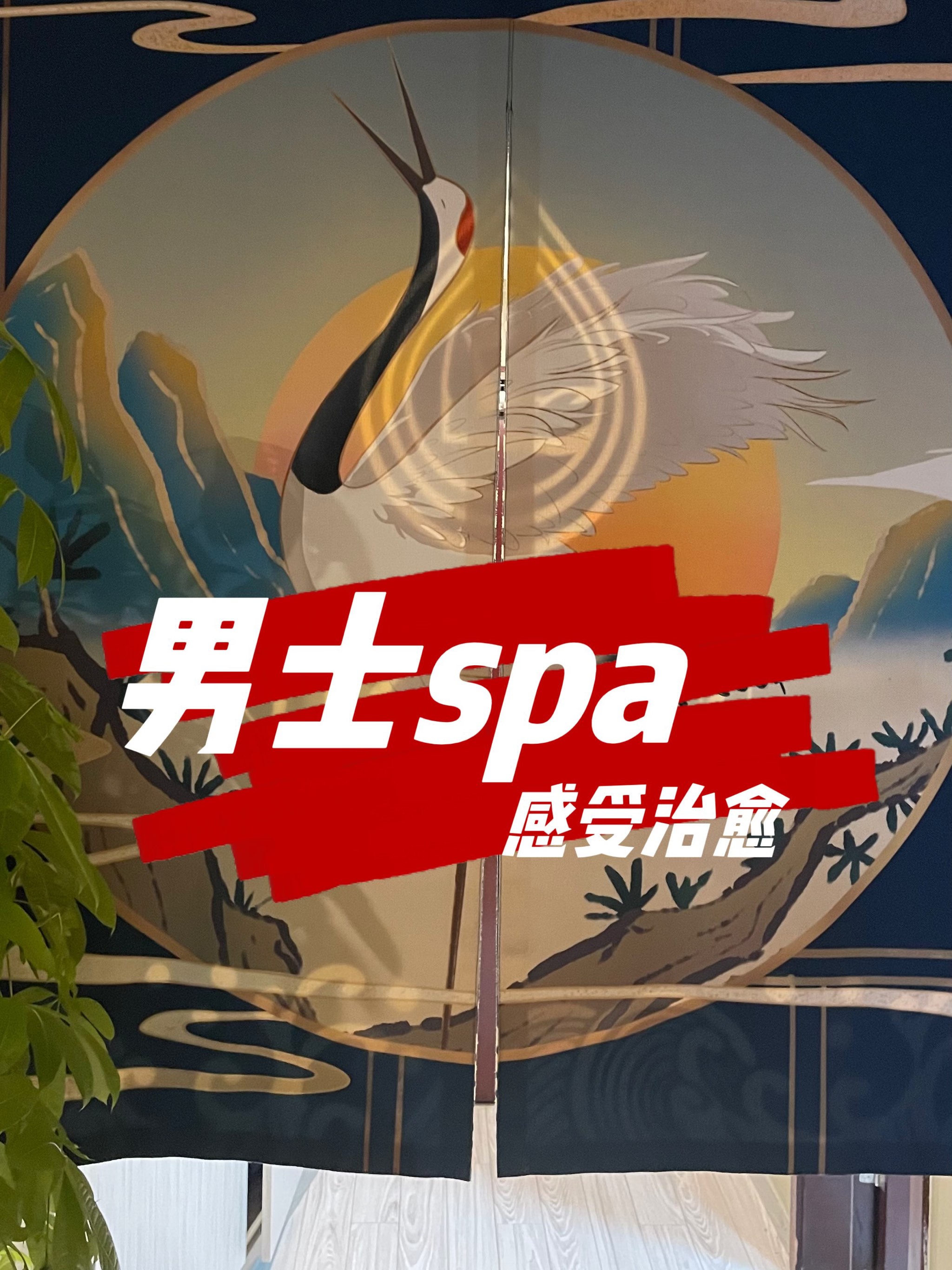 君爵男士spa图片