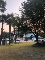 -伊莎贝拉婚礼庄园(顾村店)