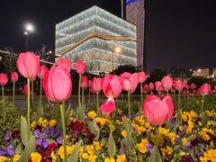 -杭州奥体中心-体育场