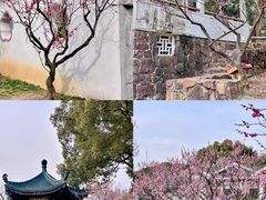 -无锡梅园公园
