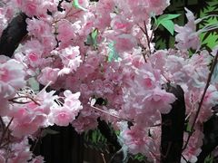 -学习谷日语培训日本留学·多语种外语教学(海淀人大分部)