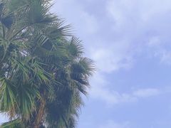 -重庆海昌加勒比海水世界