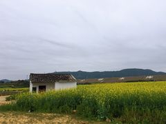 -光明小镇欢乐田园