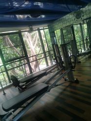 -心俞普拉提运动