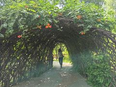 -莲花池公园