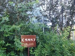 -中家鑫园温泉酒店鑫悦汤泉