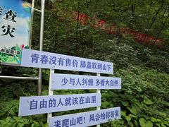 -秦岭天竺山生态文化旅游景区