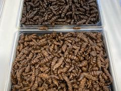 甘露-天源酱园(城乡购物中心店)