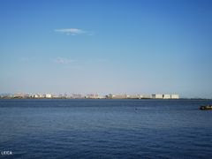 -大湾区中央湿地公园
