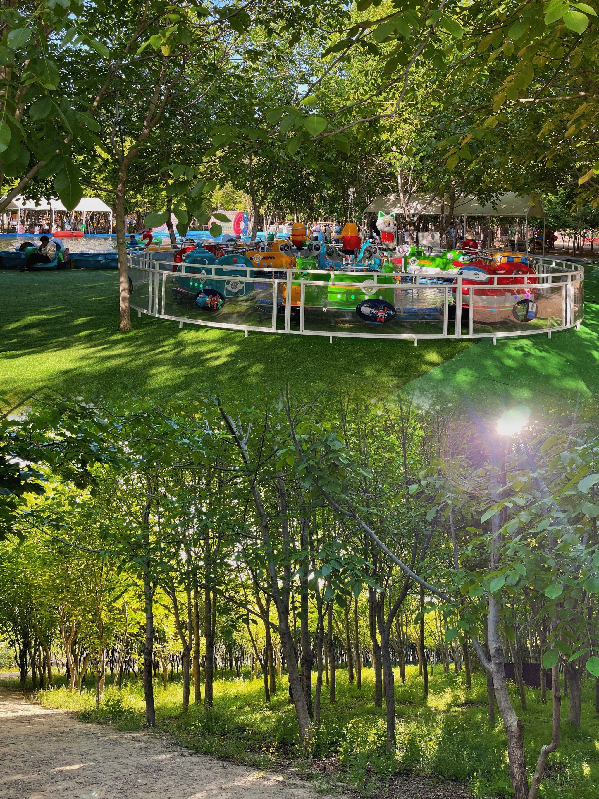 周末遛娃去哪玩|通州宋庄1982农场96