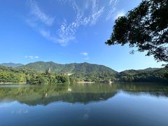 -深圳仙湖植物园