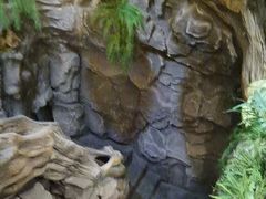 -凯撒城堡西餐厅(颐和国际店)