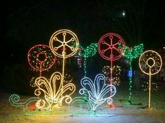 -沈阳奥体冰雪嘉年华