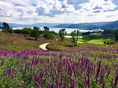 -华侨城阳宗海海景温泉