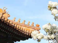 -故宫博物院(故宫)
