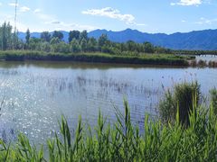 -野鸭湖国家湿地公园