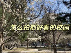 -中央民族大学