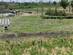 -丹世红酒庄·烧烤·团建·婚礼·水上运动