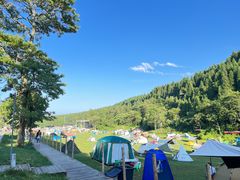 -武陵山森林公园