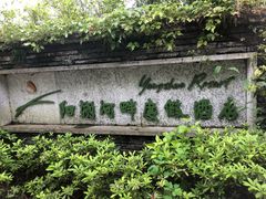 -广悦华阳朔河畔度假酒店(十里画廊遇龙河店)