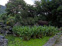 -英德宝晶宫天鹅湖茶语温泉
