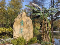 -云溪植物园