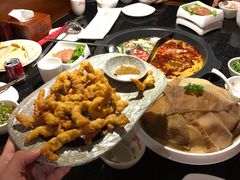 猪脑-井格重庆火锅(新世纪店)