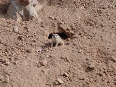 iphone_upload_pic-石家庄市动物园