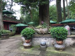 -峨眉山报国寺
