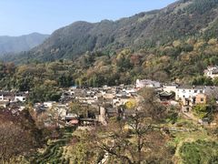-塔川景区