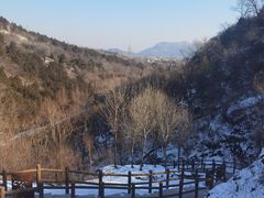-白水寺森林公园