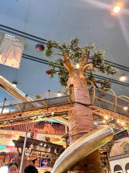 -卡通尼·Safari非洲探索乐园·生日会(金桥国际商业广场店)