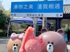 -溱湖国家湿地公园