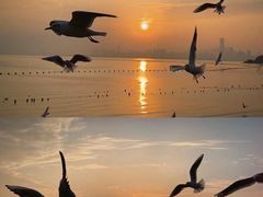 -深圳湾公园(南山区)