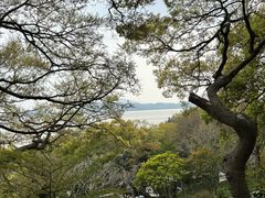 -洲晓鲜·舟山海鲜大排档(朱家尖风景区店)