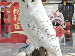 -吉林省自然博物馆