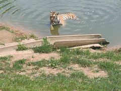 -西霞口神雕山野生动物世界