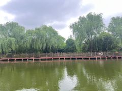 -绍兴镜湖国家城市湿地公园