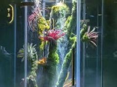 -泰悠谷养生SPA(世茂商业街店)