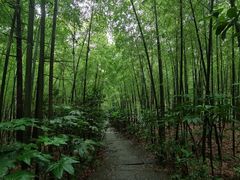 -杭州半山国家森林公园