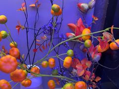 -山河屯铁锅炖(哈西站店)