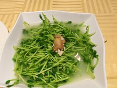 上汤豆苗-石岐佬中山菜馆(张溪店)