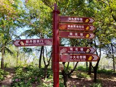-曹州牡丹园