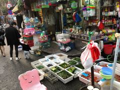 -清平路水族市场