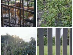 -凤来栖·净庭院·火锅(欧尚店)