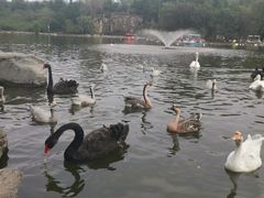 -西安秦岭野生动物园