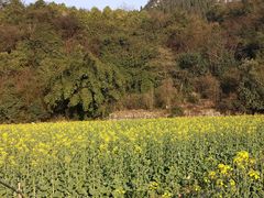 -贵阳市花溪国家城市湿地公园