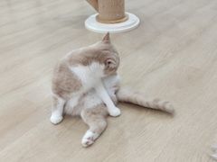 -1013 PET SHOP 宠物商店(近铁城市广场店)