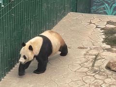 -沈阳森林动物园