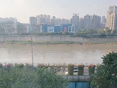 -李子坝梁山鸡(李子坝大鸡哥店)